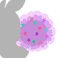 File:Pink Bunstar-T-Tail.png