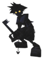 Sora's Heartless: True Form [KH coded]